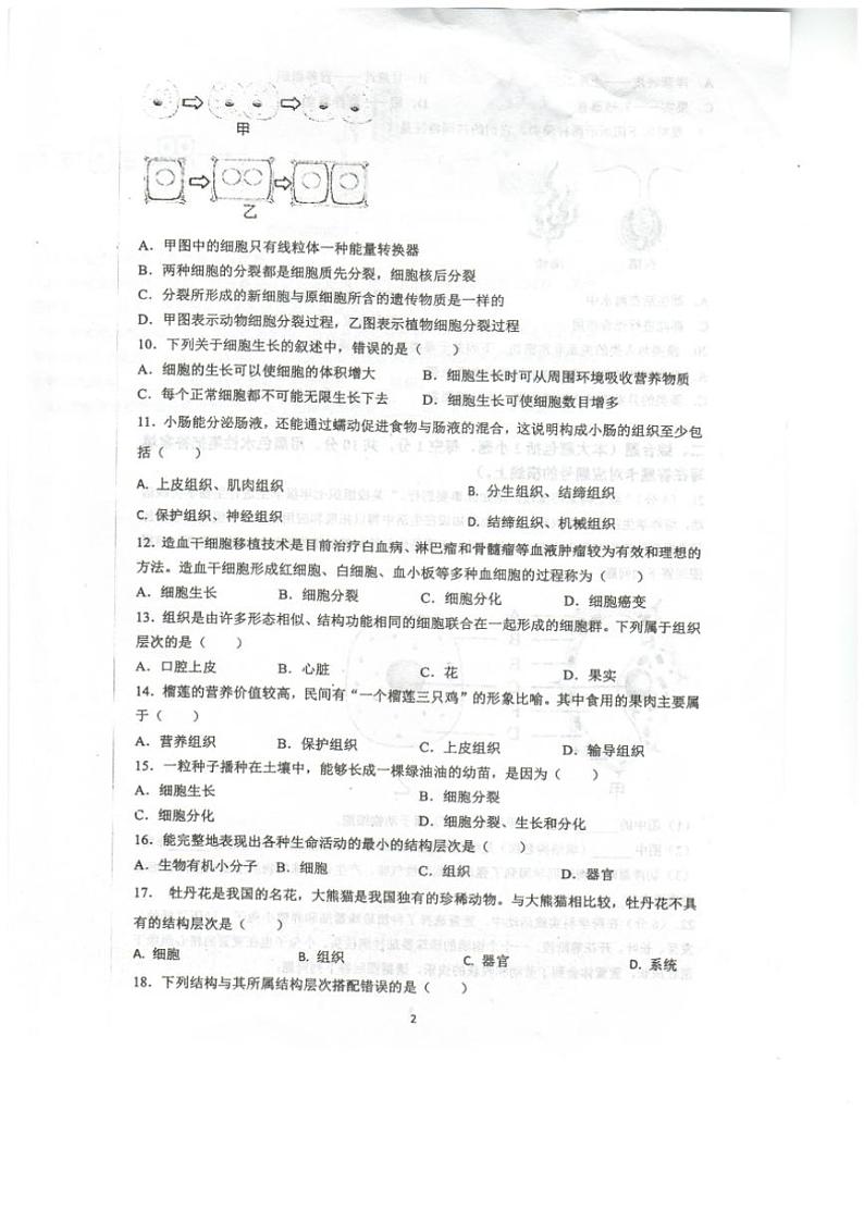 重庆市忠县马灌初级中学校2024~2025学年七年级(上)期中生物试卷(含答案)第2页