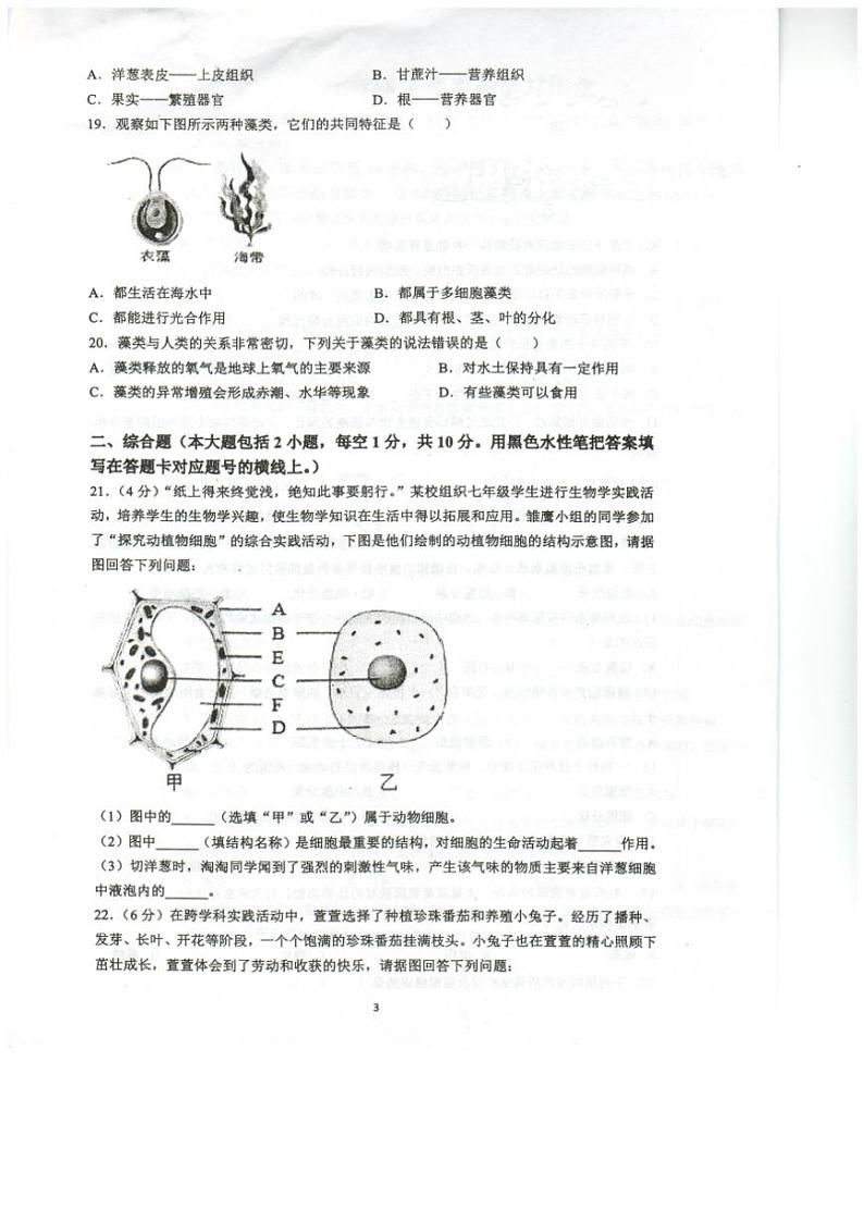 重庆市忠县马灌初级中学校2024~2025学年七年级(上)期中生物试卷(含答案)第3页