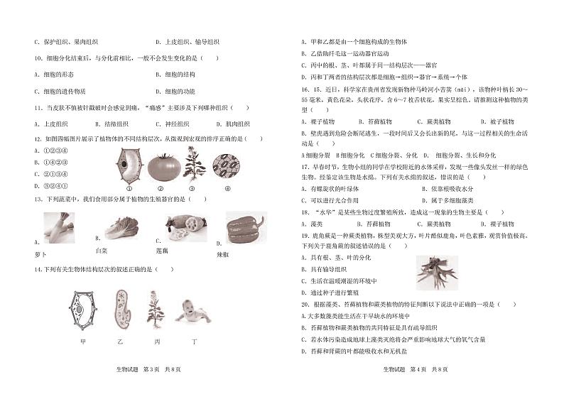(教研室提供)山东省济宁市泗水县2024-2025学年七年级上学期期中考试生物试题第2页