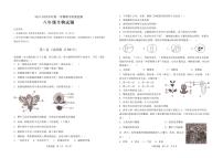山东省济宁市泗水县2024-2025学年八年级上学期期中考试生物试题