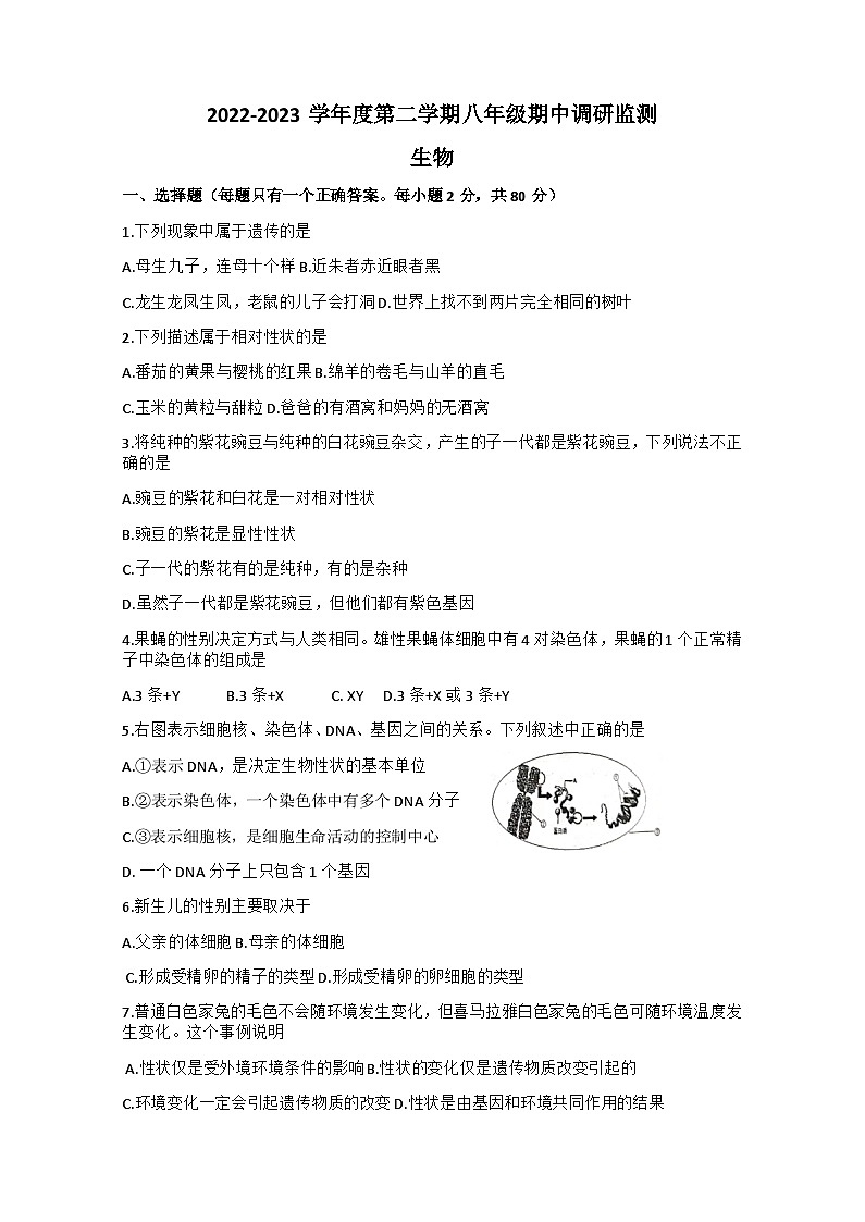 試題第1頁(yè)