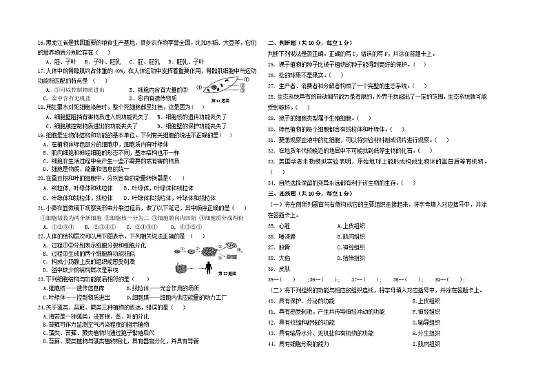 初三期中试题第2页