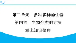 2024人教版生物七年级上册第二单元  第四章第四章 生物分类的方法  章末知识整理 习题课件ppt