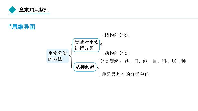 2024人教版生物七年级上册第二单元 第四章第四章 生物分类的方法 章末知识整理 习题课件ppt第2页