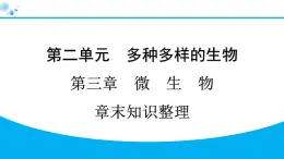 2024人教版生物七年级上册第二单元  第三章微生物  章末知识整理 习题课件ppt