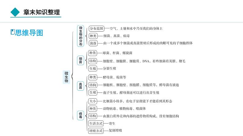 2024人教版生物七年级上册第二单元 第三章微生物 章末知识整理 习题课件ppt第2页