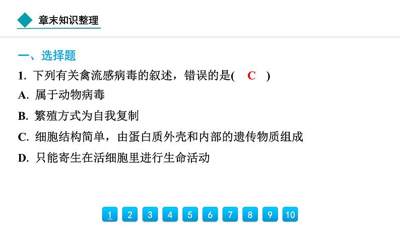 2024人教版生物七年级上册第二单元 第三章微生物 章末知识整理 习题课件ppt第3页