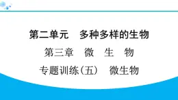 2024人教版生物七年级上册第二单元多种多样的生物第三章微生物专题训练(五)  微生物 习题课件ppt