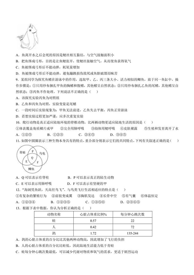 2024~2025学年河北省沧州市泊头市八年级(上)期中生物试卷(含答案)第2页