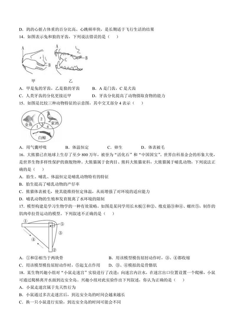 2024~2025学年河北省沧州市泊头市八年级(上)期中生物试卷(含答案)第3页
