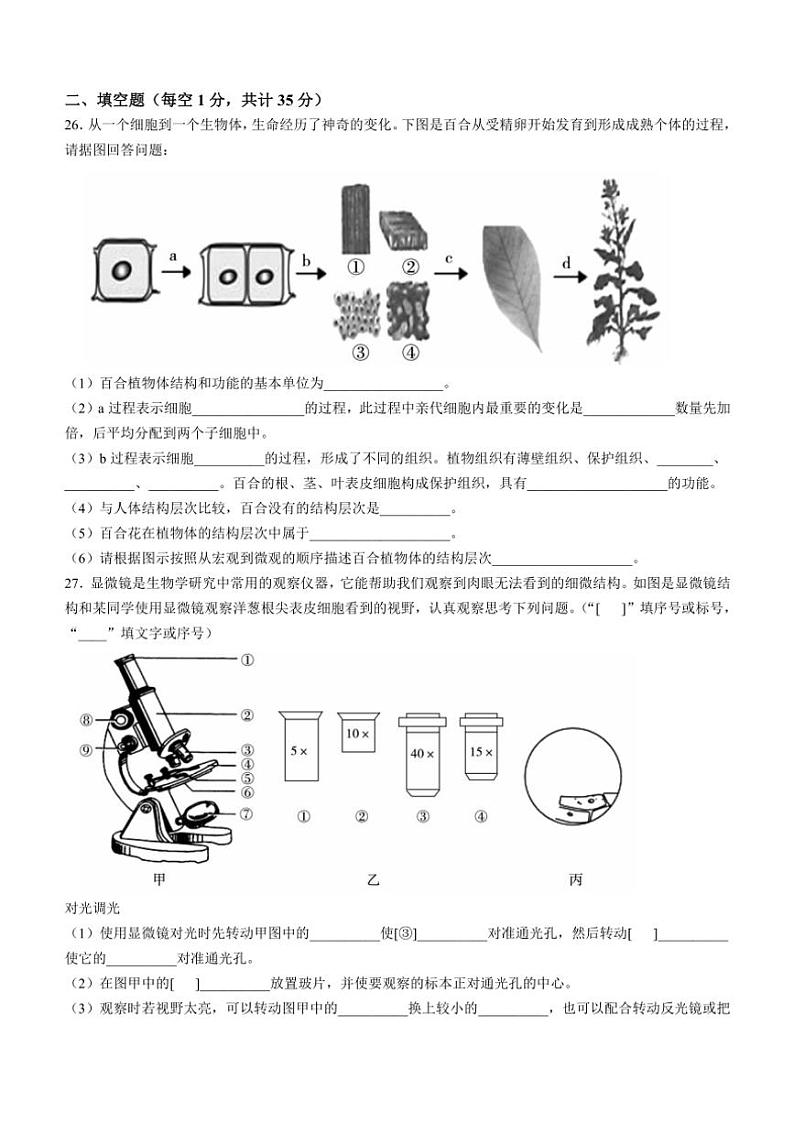 2024~2025学年河北省沧州市泊头市七年级(上)期中生物试卷(含答案)第3页