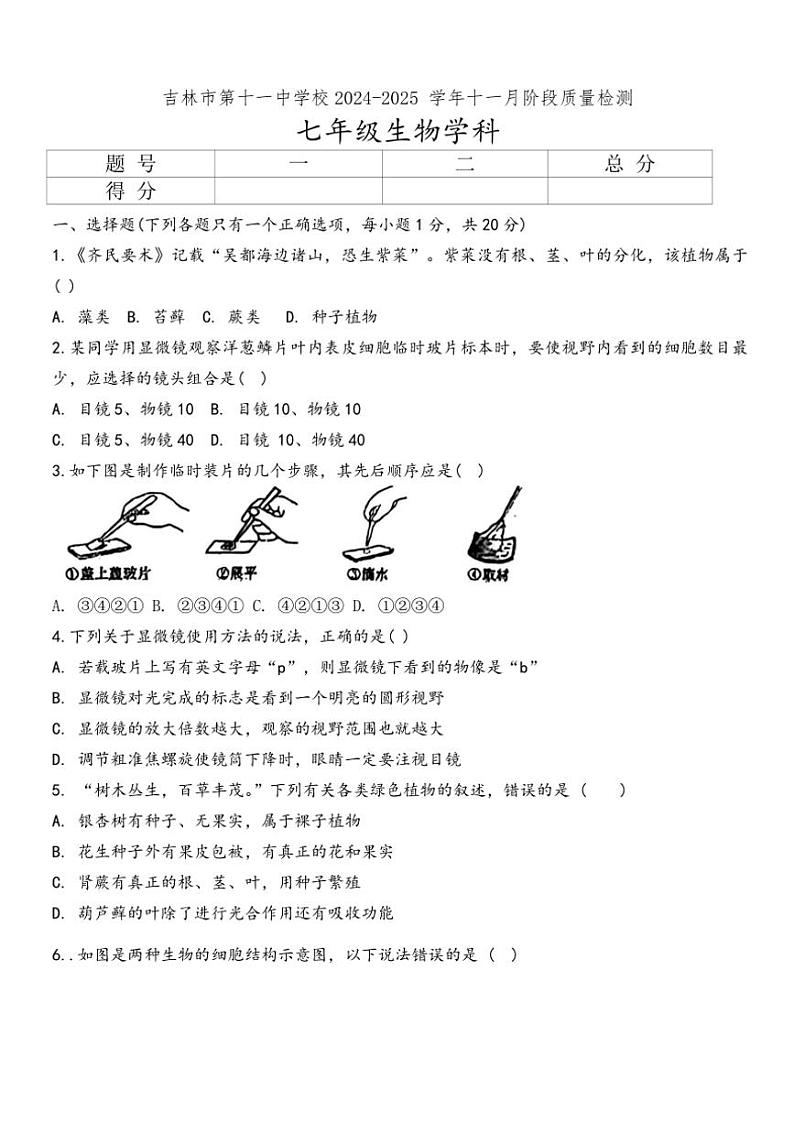2024~2025学年吉林省吉林市第十一中学七年级(上)11月质量检测生物试卷(无答案)第1页