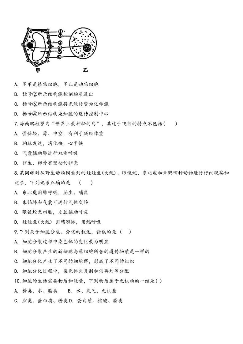 2024~2025学年吉林省吉林市第十一中学七年级(上)11月质量检测生物试卷(无答案)第2页