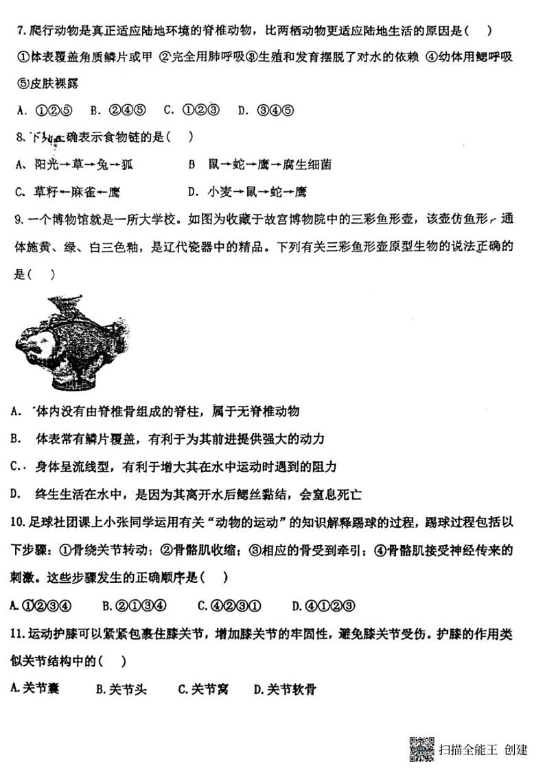 2024~2025学年辽宁省沈阳市培英中学八年级(上)12月月考生物试卷(无答案)第2页