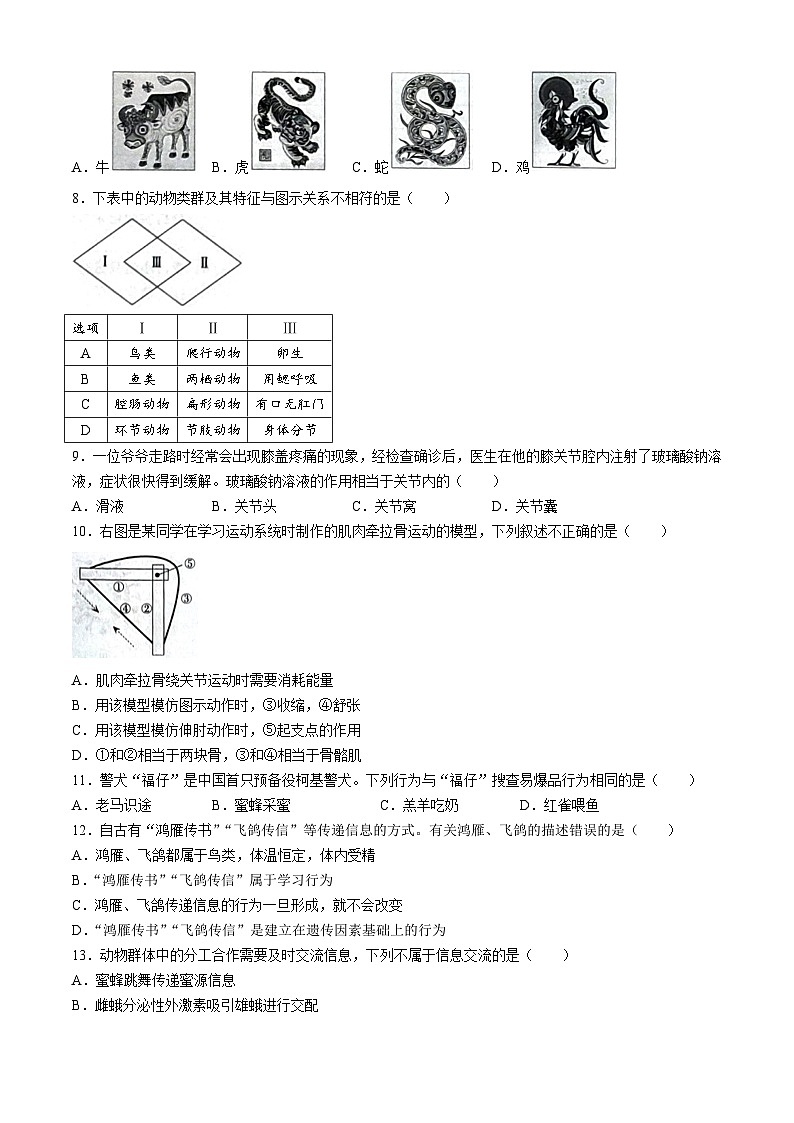 河北省邢台市信都区十九中学2024-2025学年八年级上学期12月月考生物试题第2页