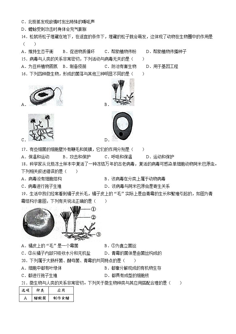 河北省邢台市信都区十九中学2024-2025学年八年级上学期12月月考生物试题第3页