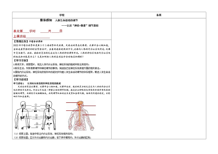 3.5人體生命活動的調(diào)節(jié)-教學(xué)設(shè)計-2023--2024學(xué)年濟(jì)南版生物七年級下冊第3頁