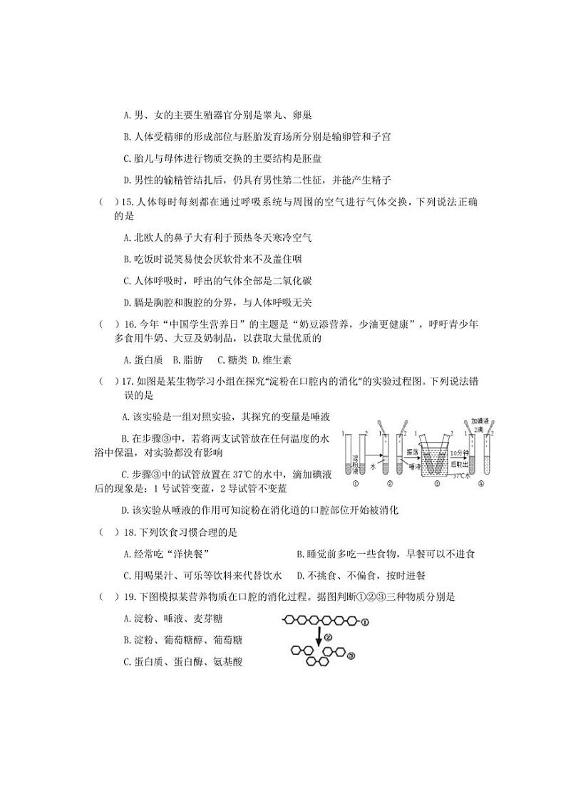 2024~2025学年山东省淄博市淄川区(五四制)七年级(上)期中生物试卷(含答案)第3页