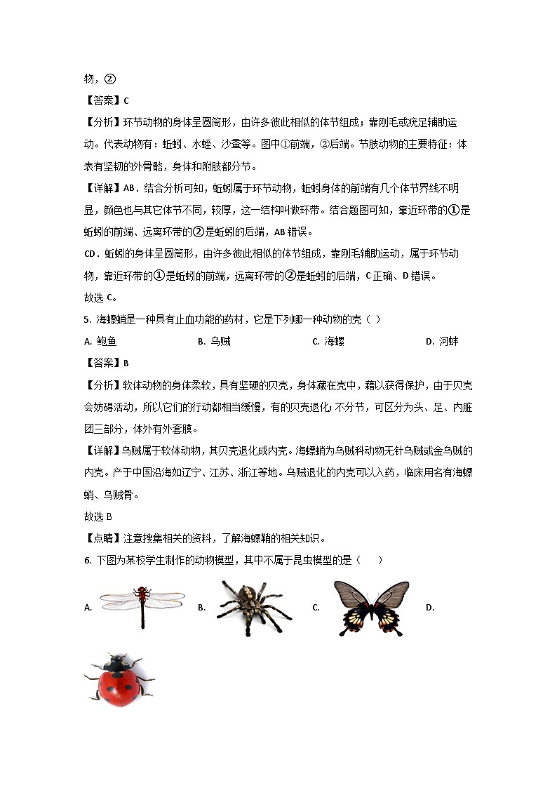 云南省保山市智源初级中学2024-2025学年八年级(上)(10月)月考生物试卷(解析版)第3页