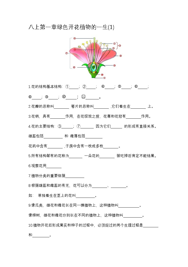 济南版初中生物八年级上绿色开花植物的一生知识点第1页