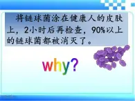 3.6.1 人体的免疫功能  课件-2023-2024学年济南版生物七年级下册