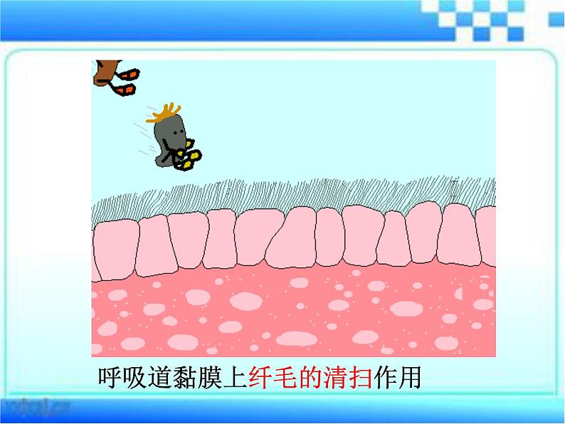 3.6.1 人体的免疫功能 课件-2023-2024学年济南版生物七年级下册第7页