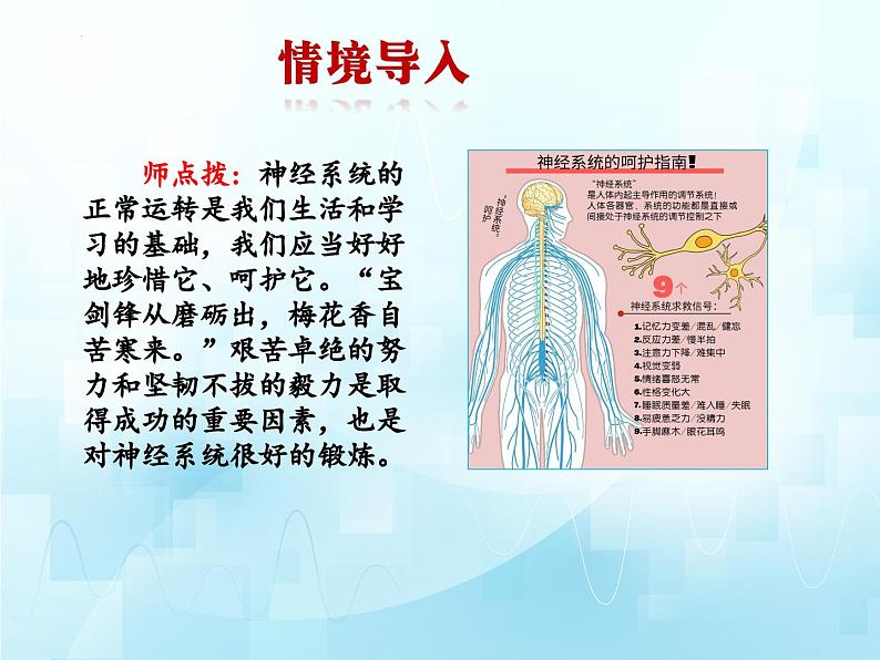 3.5.5神经系统的卫生保健课件-2023-2024学年济南版生物七年级下册.第1页