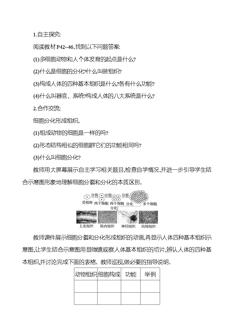 人教版生物七年级上册 1.3.2 动物体的结构层次 教案第2页