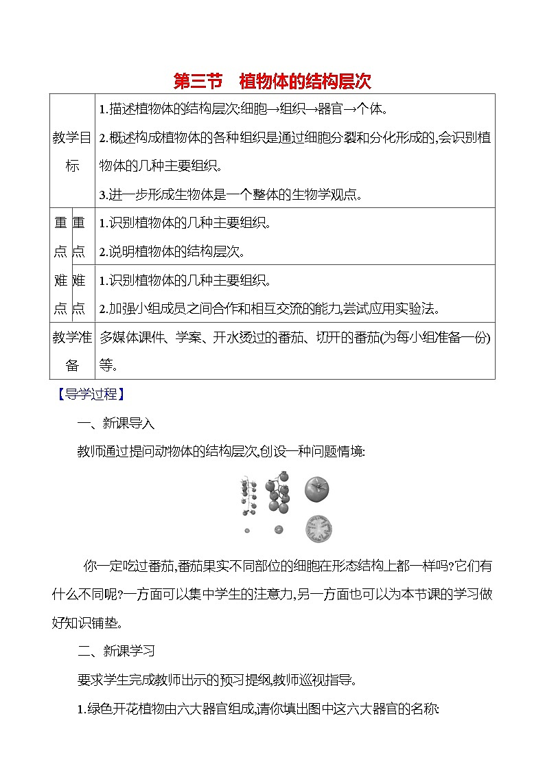 人教版生物七年级上册 1.3.3 植物体的结构层次 教案第1页