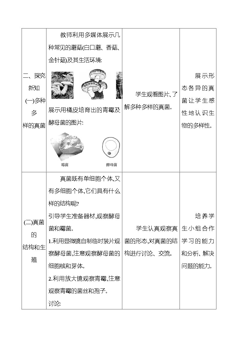 人教版生物七年级上册 2.3.3 真菌 教案(表格式)第2页