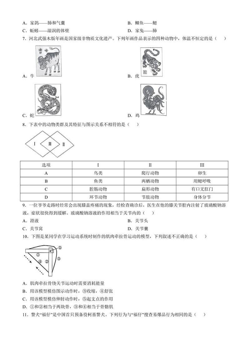 2024~2025学年河北省邢台市第十九中学八年级(上)12月月考生物试卷(含答案)第2页