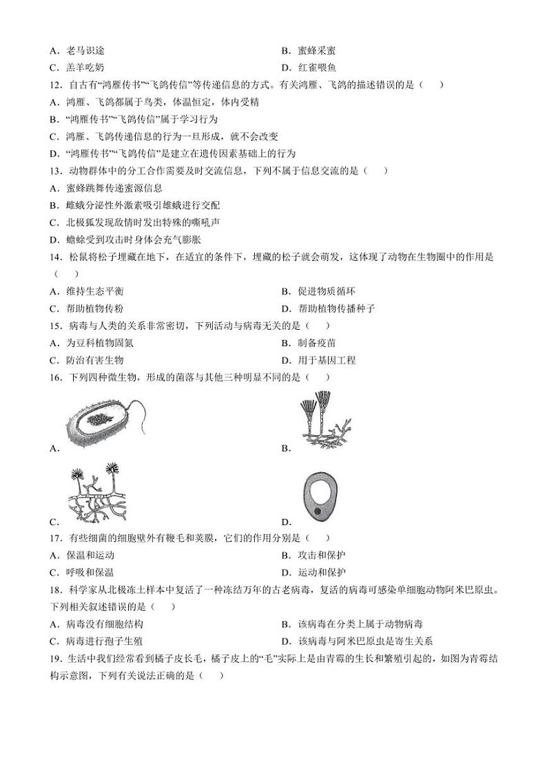 2024~2025学年河北省邢台市第十九中学八年级(上)12月月考生物试卷(含答案)第3页