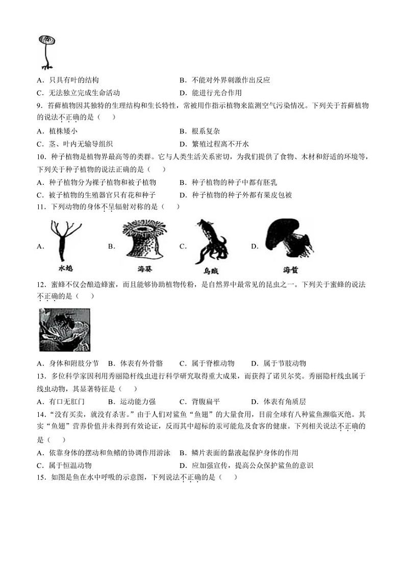 2024~2025学年河北省石家庄市行唐县第一中学七年级(上)第三次月考生物试卷(无答案)第2页