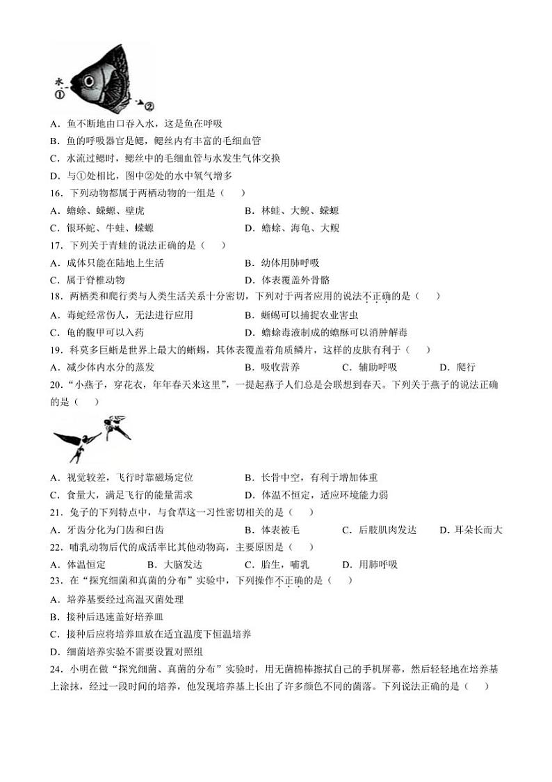 2024~2025学年河北省石家庄市行唐县第一中学七年级(上)第三次月考生物试卷(无答案)第3页