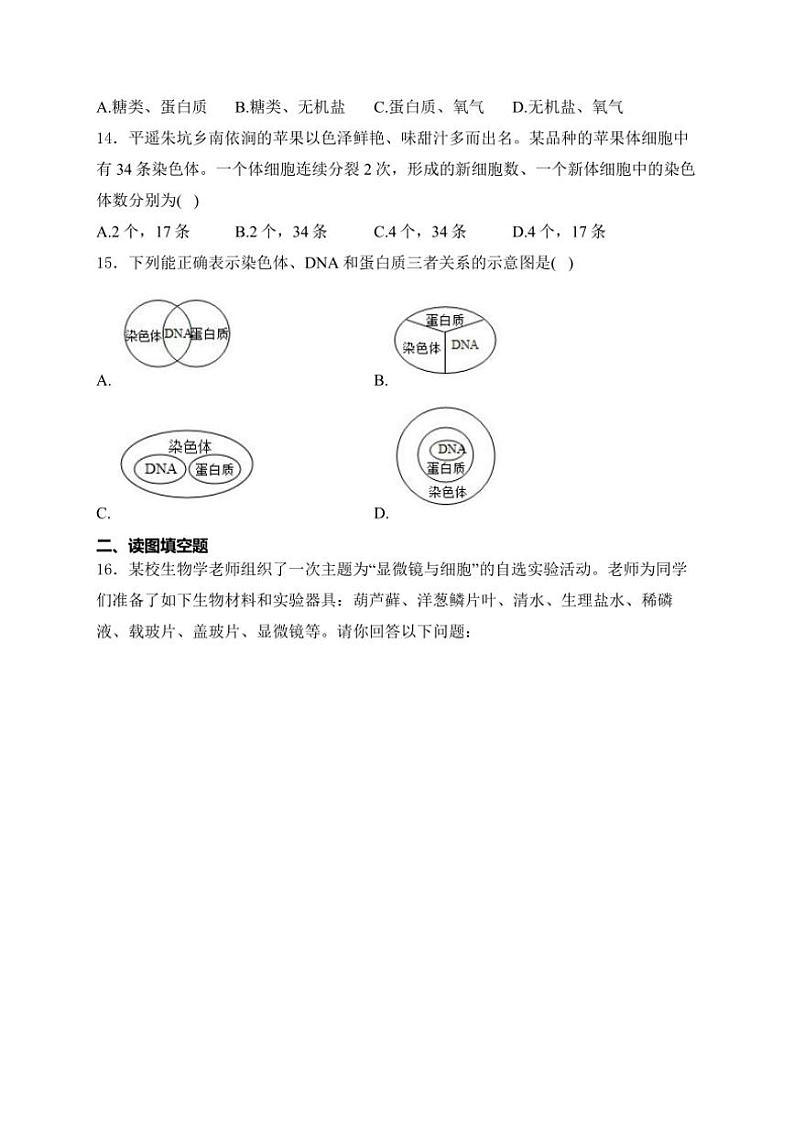 2024~2025学年山西省现代双语学校南校七年级(上)10月月考生物试卷(含解析)第3页