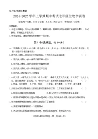 云南省文山壮族苗族自治州文山市第一中学2024-2025学年七年级上学期期中生物试题