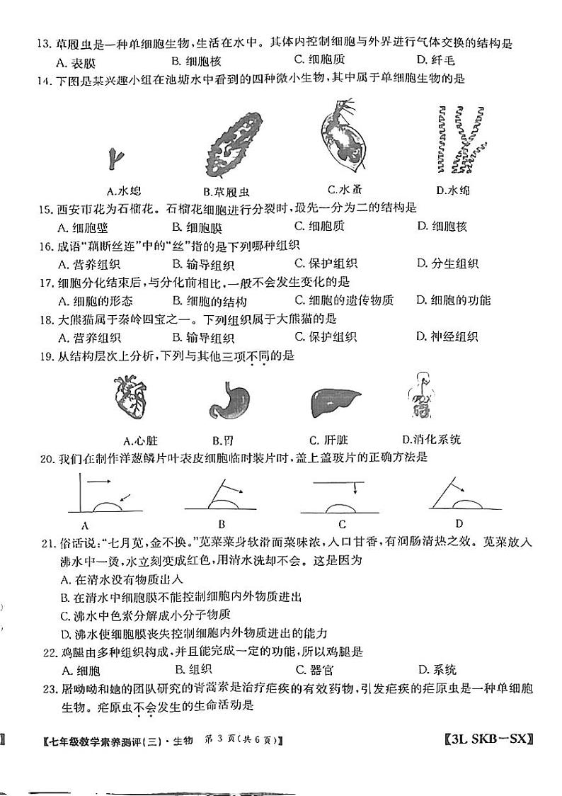 7生物试题第3页