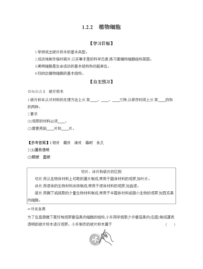 2024-2025学年人教版生物七年级上册 1.2.2 植物细胞 导学案第1页