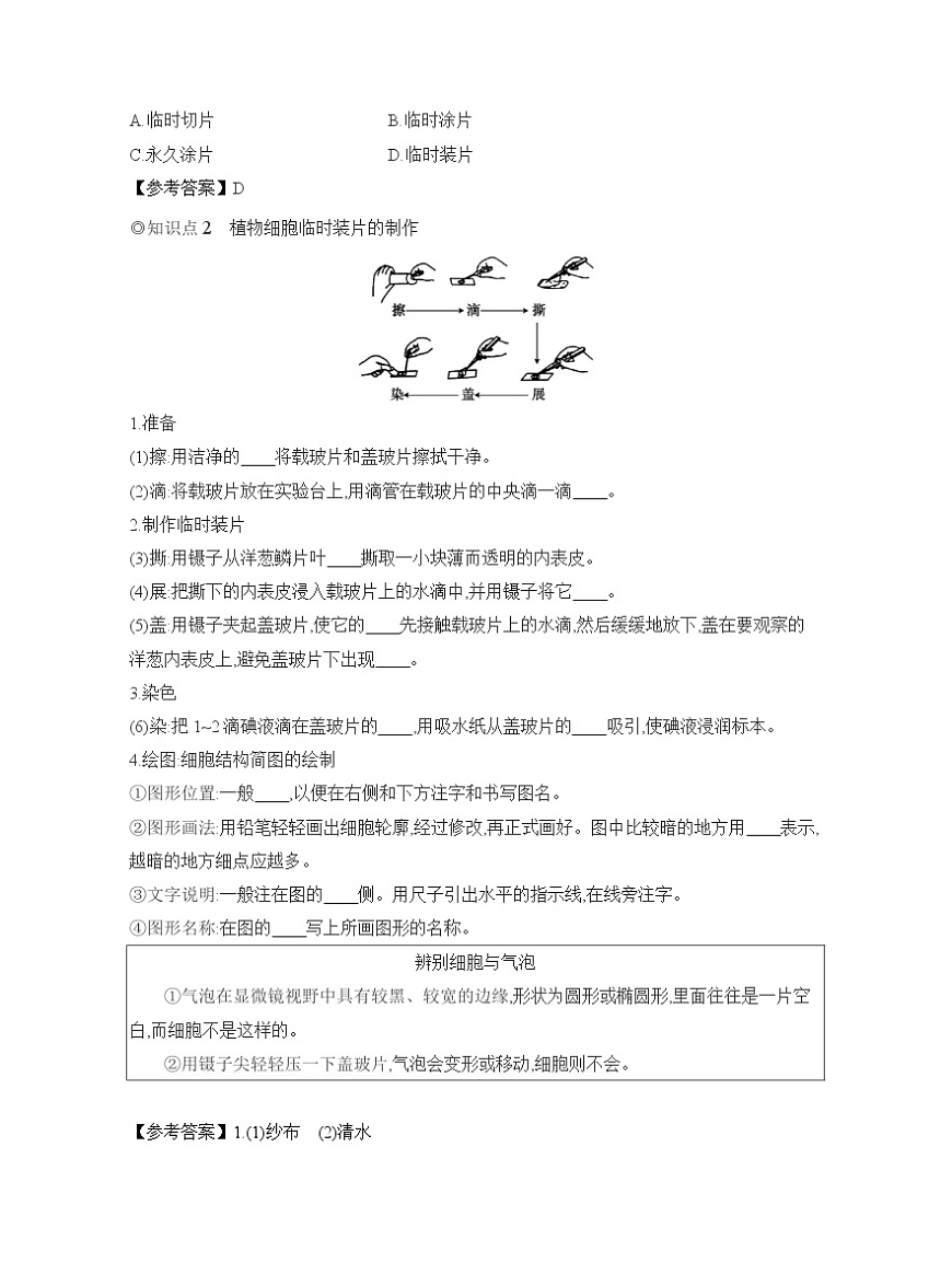 2024-2025學(xué)年人教版生物七年級上冊 1.2.2　植物細(xì)胞  導(dǎo)學(xué)案第2頁