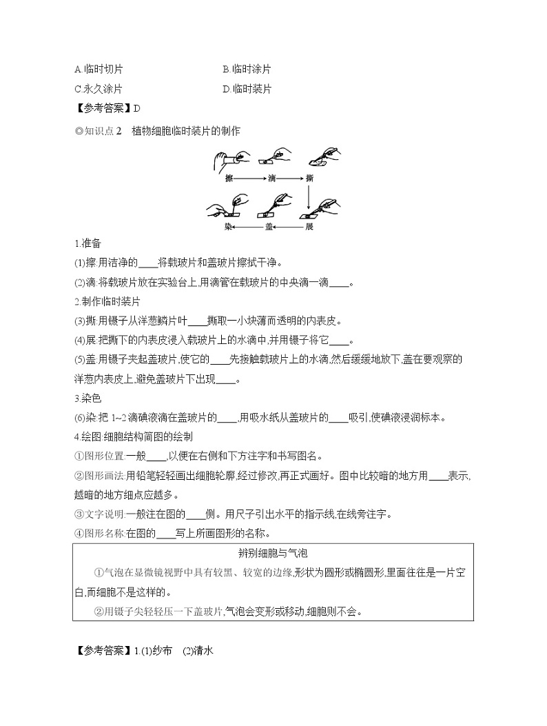 2024-2025学年人教版生物七年级上册 1.2.2 植物细胞 导学案第2页