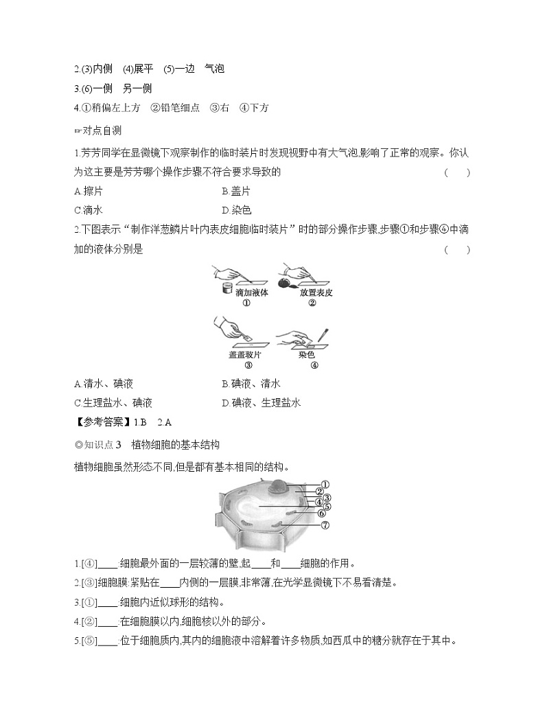 2024-2025学年人教版生物七年级上册 1.2.2 植物细胞 导学案第3页