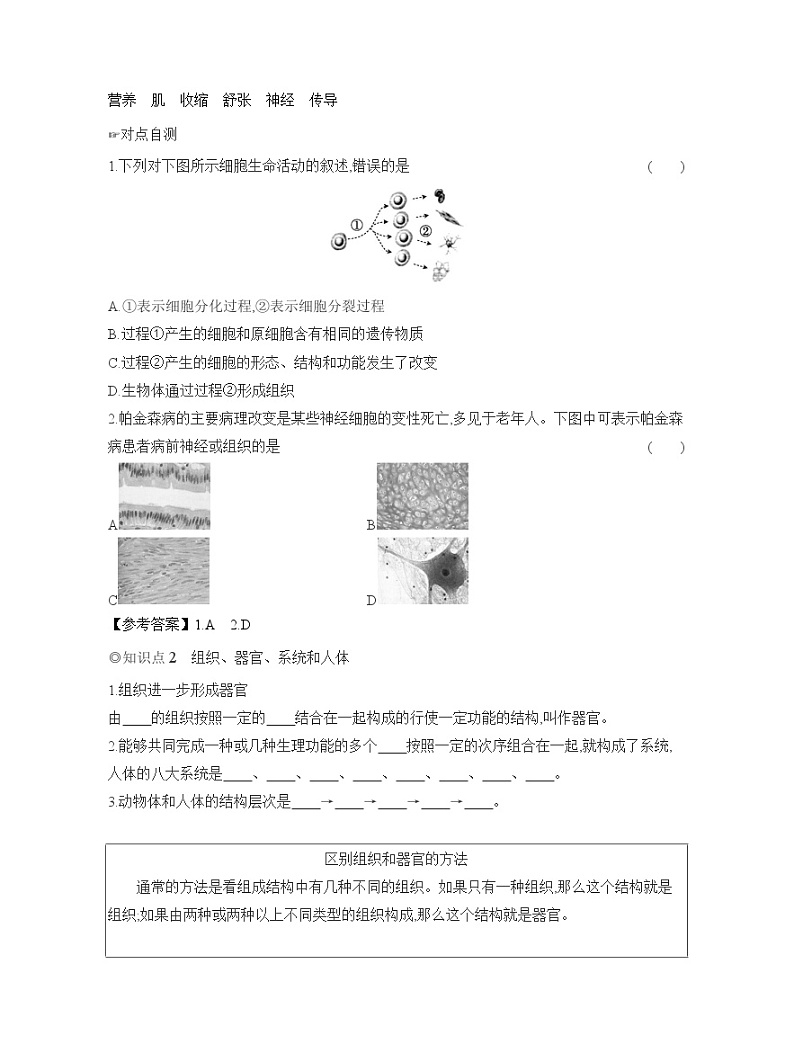 2024-2025学年人教版生物七年级上册 1.3.2 动物体的结构层次 导学案第2页