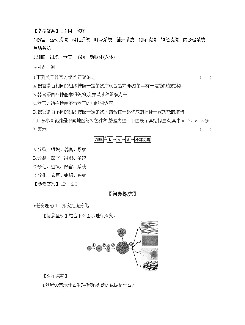 2024-2025学年人教版生物七年级上册 1.3.2 动物体的结构层次 导学案第3页