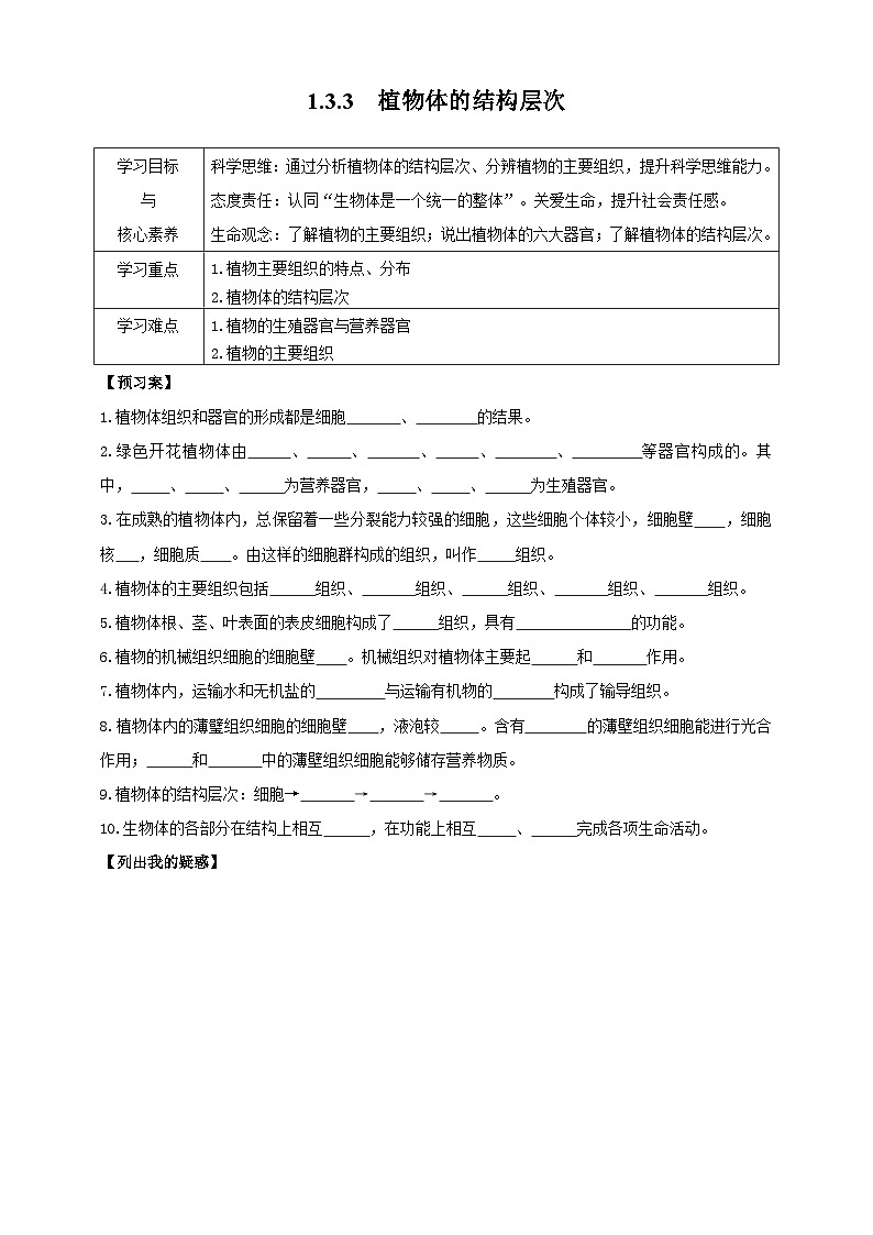 2024-2025学年人教版生物七年级上册 1.3.3 植物体的结构层次 导学案第1页