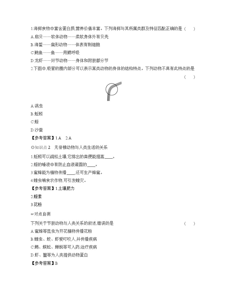 2024-2025学年人教版生物七年级上册 2.2.1 无脊椎动物 导学案第2页