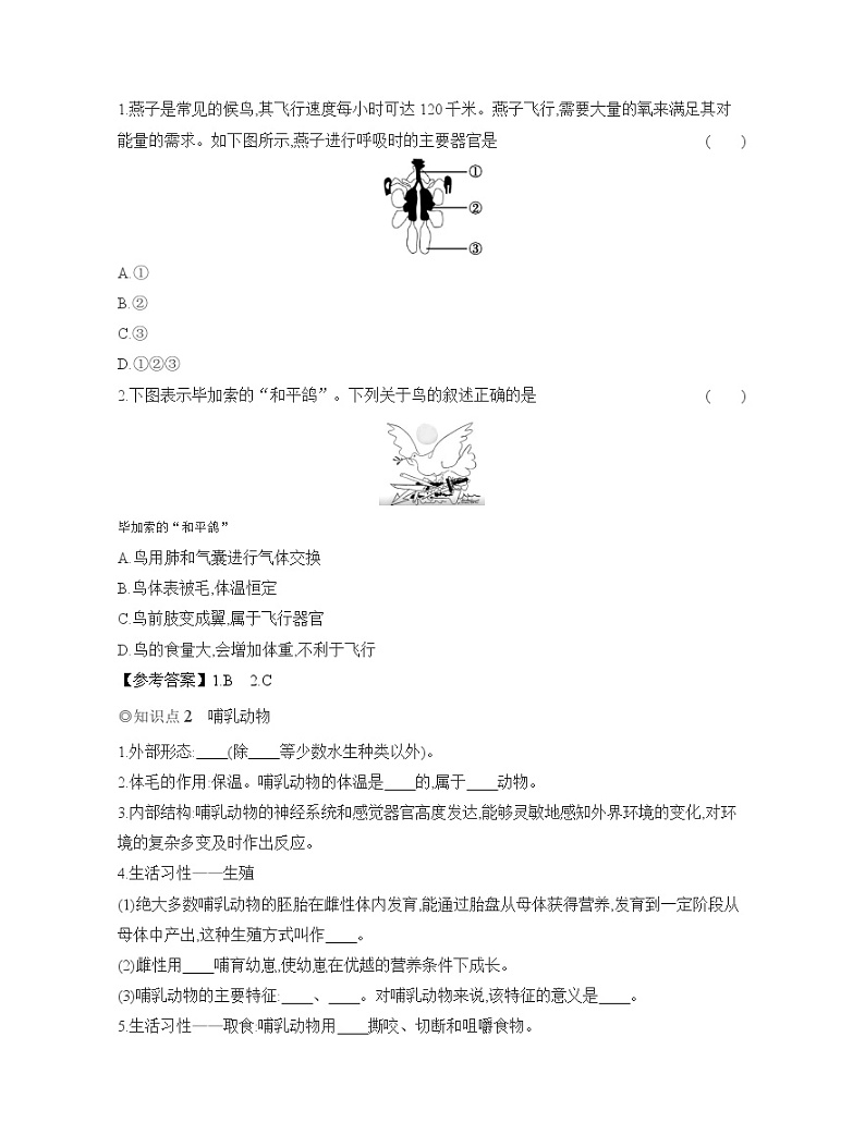 2024-2025学年人教版生物七年级上册 2.2.2 脊椎动物——鸟和哺乳动物 导学案第2页