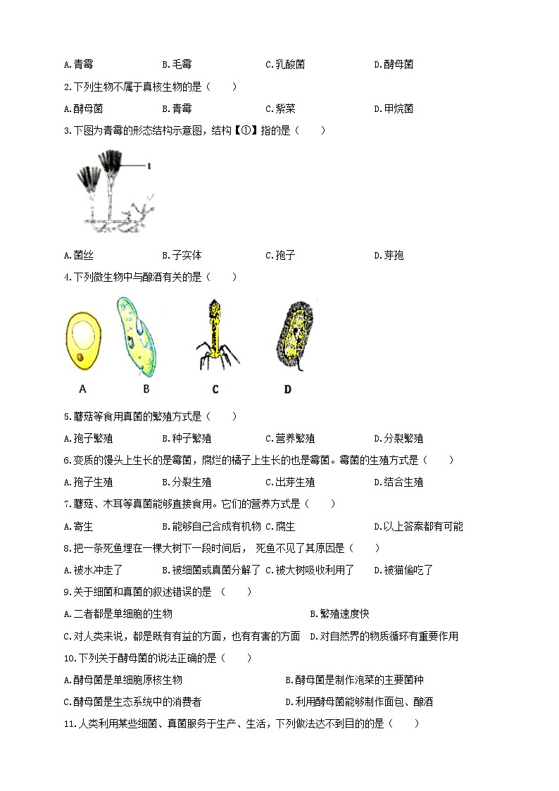 2024-2025学年人教版生物七年级上册 2.3.3 真菌 导学案第3页