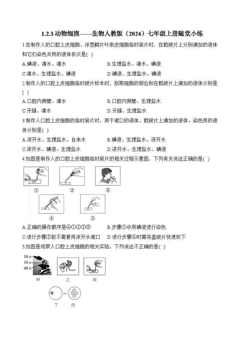 2024-2025学年人教版生物七年级上册 1.2.3 动物细胞——生物 人教版 七年级上册随堂小练(含解析)第1页