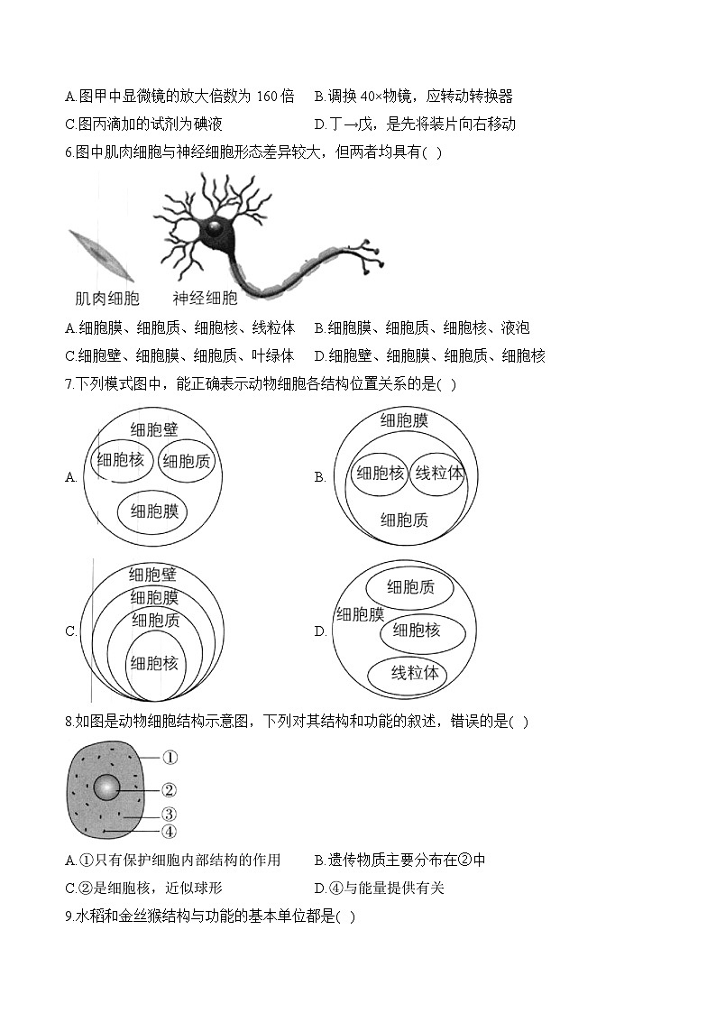 2024-2025学年人教版生物七年级上册 1.2.3 动物细胞——生物 人教版 七年级上册随堂小练(含解析)第2页