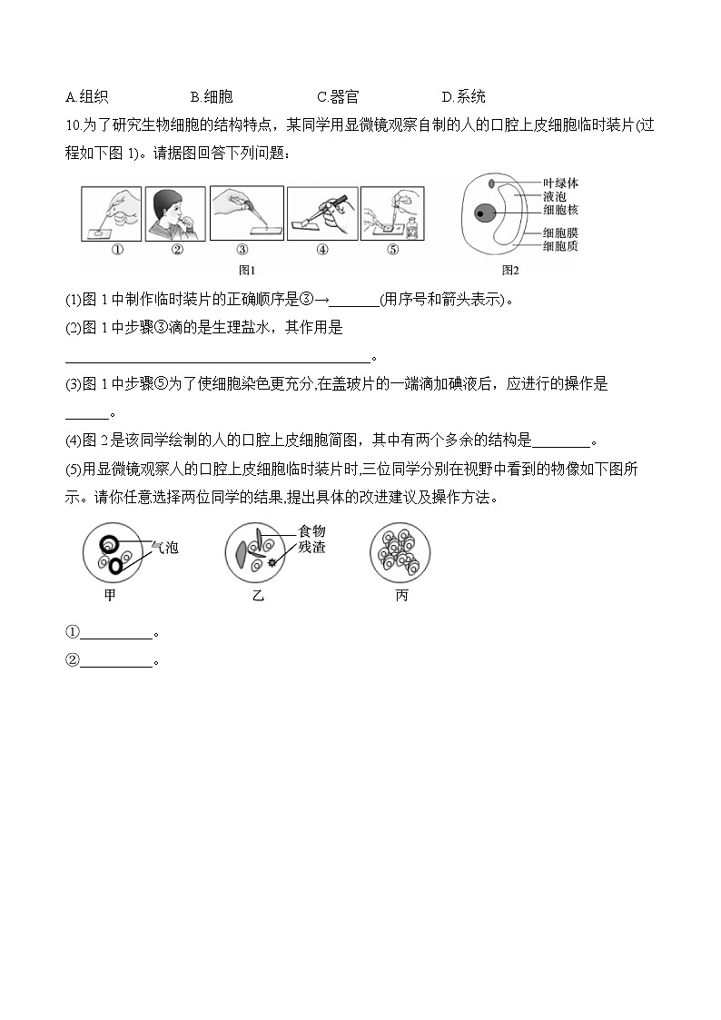 2024-2025学年人教版生物七年级上册 1.2.3 动物细胞——生物 人教版 七年级上册随堂小练(含解析)第3页